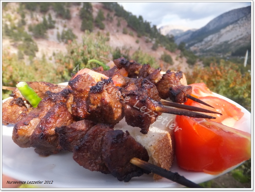 mangalda kuzu şiş terbiyesi